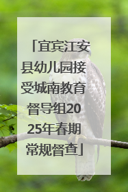 宜宾江安县幼儿园接受城南教育督导组2025年春期常规督查