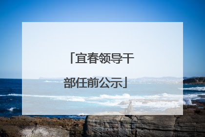 宜春领导干部任前公示