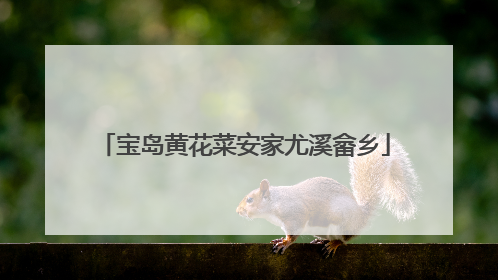 宝岛黄花菜安家尤溪畲乡
