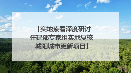 实地察看深度研讨 住建部专家组实地复核城阳城市更新项目