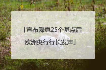 宣布降息25个基点后 欧洲央行行长发声