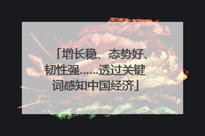 增长稳、态势好、韧性强……透过关键词感知中国经济