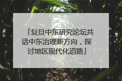 复旦中东研究论坛共话中东治理新方向，探讨地区现代化道路
