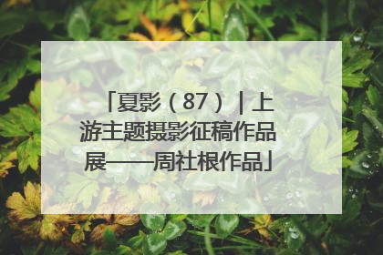 夏影（87）｜上游主题摄影征稿作品展——周社根作品