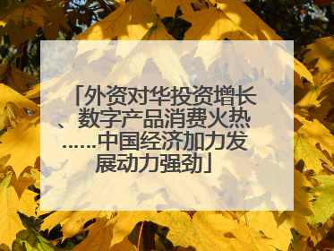 外资对华投资增长、数字产品消费火热……中国经济加力发展动力强劲