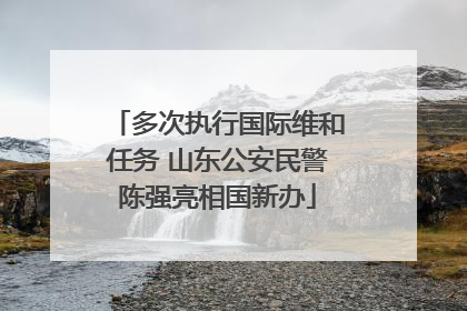 多次执行国际维和任务 山东公安民警陈强亮相国新办