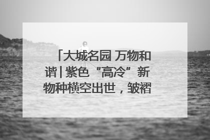 大城名园 万物和谐│紫色“高冷”新物种横空出世，皱褶叶片暗藏进化密码