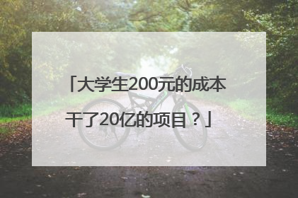 大学生200元的成本干了20亿的项目？