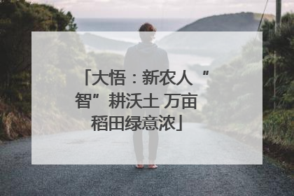 大悟：新农人“智”耕沃土 万亩稻田绿意浓