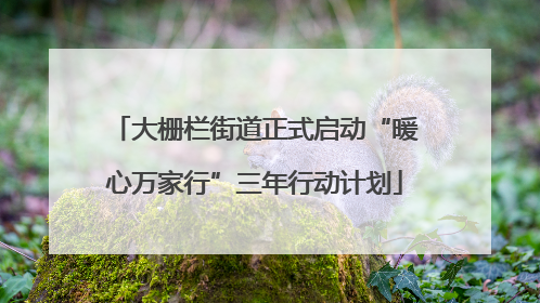大栅栏街道正式启动“暖心万家行”三年行动计划