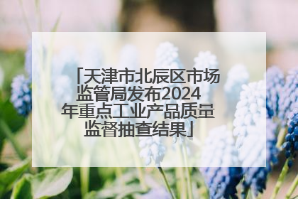 天津市北辰区市场监管局发布2024年重点工业产品质量监督抽查结果