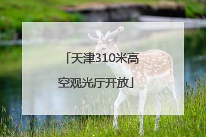 天津310米高空观光厅开放