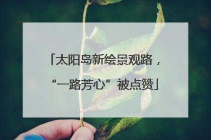 太阳岛新绘景观路，“一路芳心”被点赞