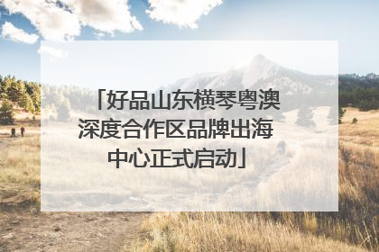 好品山东横琴粤澳深度合作区品牌出海中心正式启动