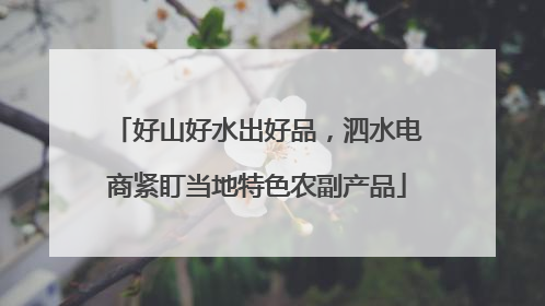 好山好水出好品，泗水电商紧盯当地特色农副产品