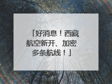 好消息！西藏航空新开、加密多条航线！