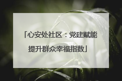 心安处社区：党建赋能 提升群众幸福指数