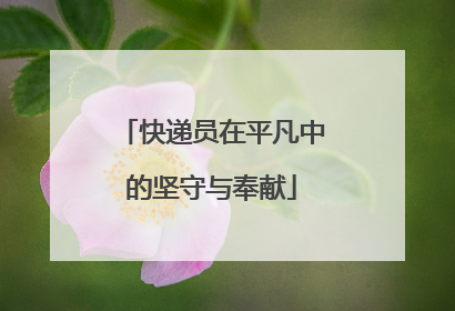 快递员在平凡中的坚守与奉献
