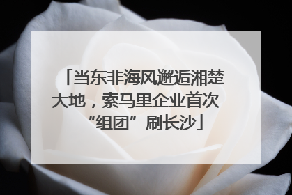 当东非海风邂逅湘楚大地，索马里企业首次“组团”刷长沙