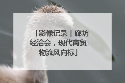 影像记录｜廊坊经洽会，现代商贸物流风向标
