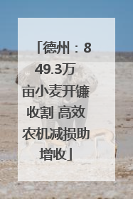 德州：849.3万亩小麦开镰收割 高效农机减损助增收