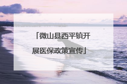 微山县西平镇开展医保政策宣传