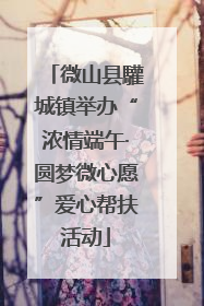 微山县驩城镇举办“浓情端午·圆梦微心愿”爱心帮扶活动