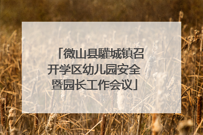 微山县驩城镇召开学区幼儿园安全暨园长工作会议