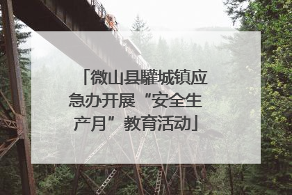 微山县驩城镇应急办开展“安全生产月”教育活动