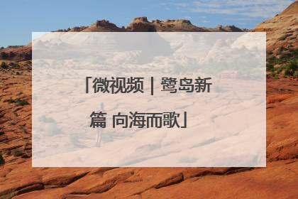 微视频｜鹭岛新篇 向海而歌