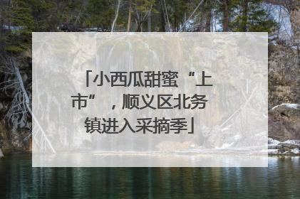 小西瓜甜蜜“上市”，顺义区北务镇进入采摘季