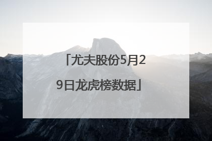 尤夫股份5月29日龙虎榜数据