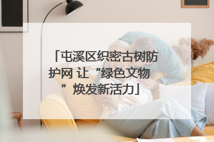 屯溪区织密古树防护网 让“绿色文物”焕发新活力