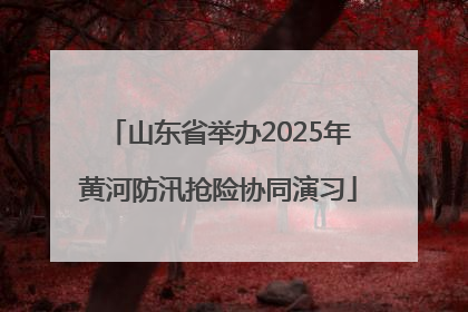 山东省举办2025年黄河防汛抢险协同演习
