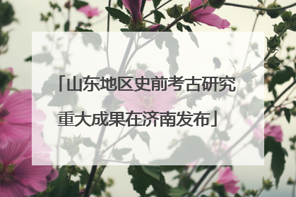 山东地区史前考古研究重大成果在济南发布