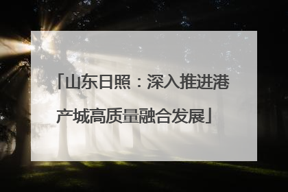 山东日照：深入推进港产城高质量融合发展