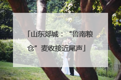 山东郯城：“鲁南粮仓”麦收接近尾声