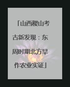 山西稷山考古新发现：东周时期北方旱作农业实证