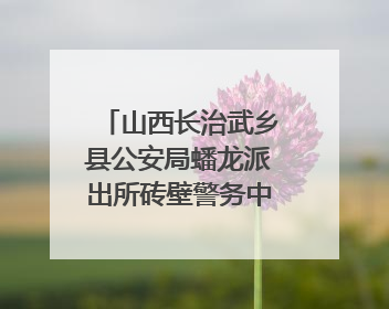 山西长治武乡县公安局蟠龙派出所砖壁警务中心：深耕“红色警务” 谱写“平安答卷”