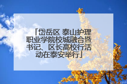 岱岳区 泰山护理职业学院校城融合暨书记、区长高校行活动在泰安举行