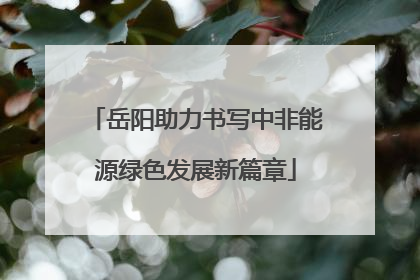 岳阳助力书写中非能源绿色发展新篇章