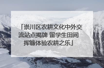 崇川区农耕文化中外交流站点揭牌 留学生田间挥镰体验农耕之乐