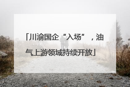 川渝国企“入场”，油气上游领域持续开放