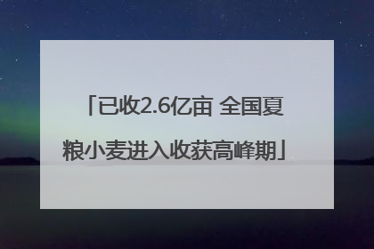 已收2.6亿亩 全国夏粮小麦进入收获高峰期