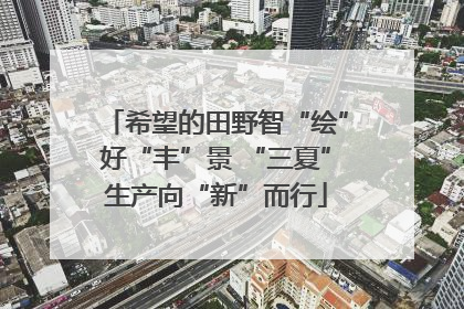 希望的田野智“绘”好“丰”景 “三夏”生产向“新”而行