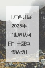 广西开展2025年“世界认可日”主题宣传活动
