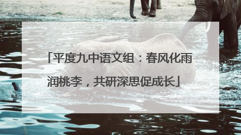 平度九中语文组：春风化雨润桃李，共研深思促成长