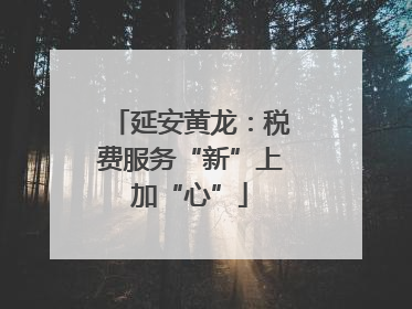 延安黄龙：税费服务“新”上加“心”