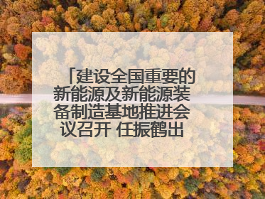 建设全国重要的新能源及新能源装备制造基地推进会议召开 任振鹤出席并讲话