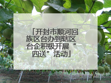 开封市顺河回族区台办到辖区台企积极开展“四送”活动